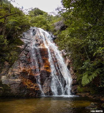 Imagen de Catarata La Jungla Dorada